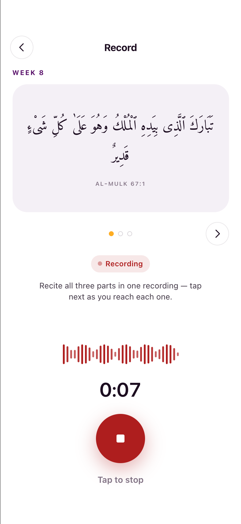 Recording — in progress